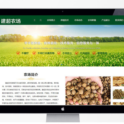 石家庄企业数字化转型 网站建设、优化与网络推广一站式指南